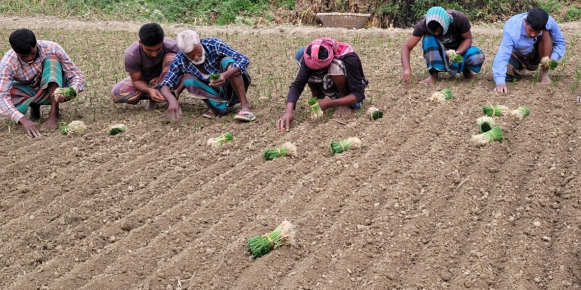 agri sangbad