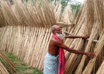 agri sangbad