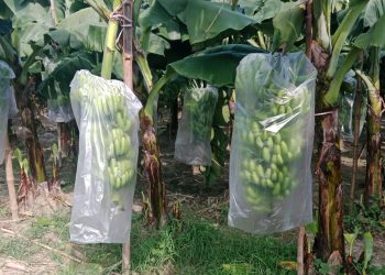 agri sangbad