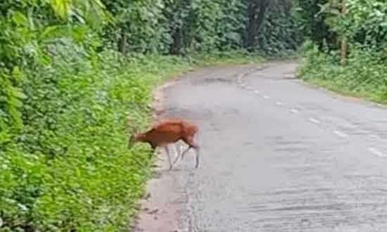 agri sangbad