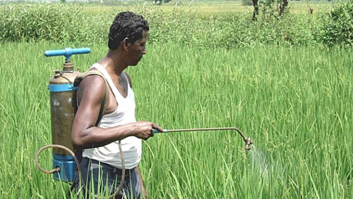 দেশেই উৎপাদন হবে বালাইনাশক