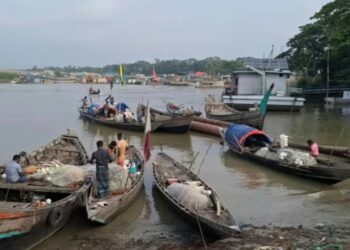 মা ইলিশ রক্ষায় মাছ ধরা বন্ধ, জেলেরা পাচ্ছেন খাদ্য সহায়তা