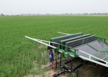 সৌরশক্তি: ‘পানি বিপর্যয়ের’ দিকে ঠেলে দিচ্ছে পাকিস্তানের কৃষিপ্রধান অঞ্চলগুলোকে