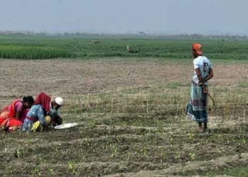 উত্তরাঞ্চলে বৃষ্টির হানা : শীতকালীন ফসলের লক্ষ্যমাত্রা নিয়ে 'শঙ্কা'