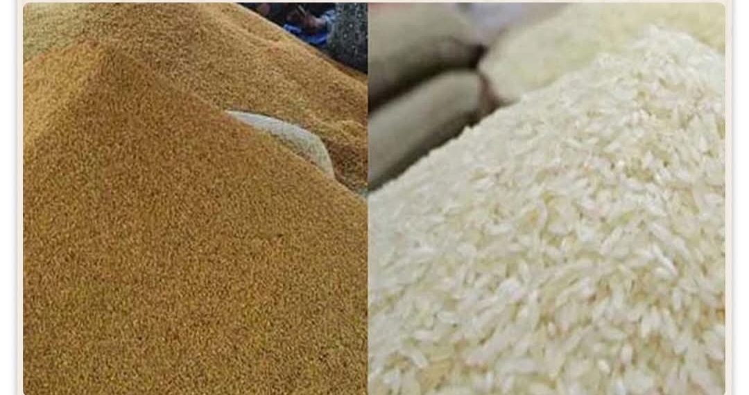 ধান ৩৪, আতপ চাল ৪৯, সিদ্ধ চাল ৫০ টাকা কেজি দরে সংগ্রহ করবে সরকার