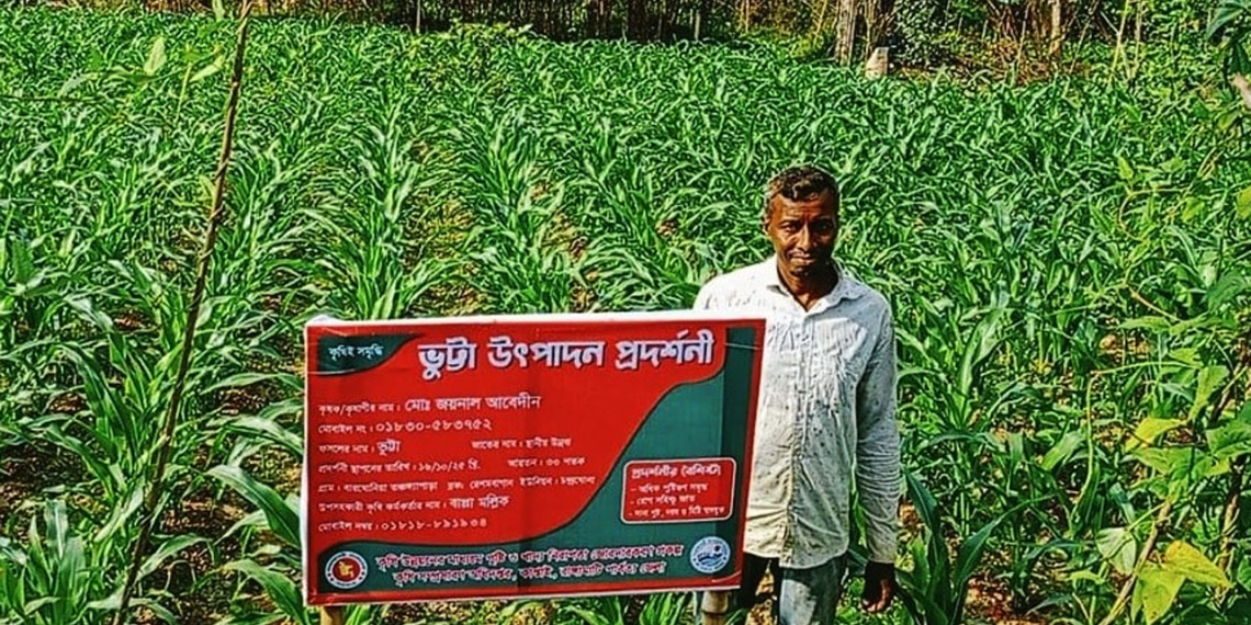 রাঙ্গামাটির কাপ্তাইয়ের কৃষক জয়নাল আবেদীন নিজস্ব কৃষি জমিতে হাইব্রিড জাতের ভুট্টা চাষ করে সফল হয়েছেন। ছবি: বাসস