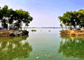 তিস্তা সেচ খালের বাঁধ ভেঙে ফসলের ব্যাপক ক্ষয়ক্ষতি