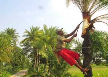 যশোরের ‘যশ’ খেজুরের রস