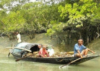 সুন্দরবন: জেলেপল্লীতে বনদস্যুদের হানা, ৬ জেলেকে অপহরণ