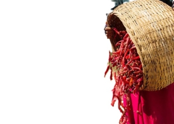 আমদানি কম, সাতক্ষীরায় বেড়েছে শুকনা মরিচের দাম