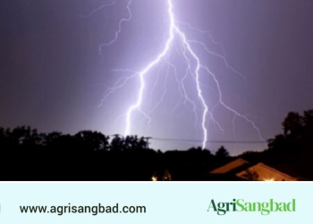 হঠাৎ বজ্রপাতে কৃষকসহ দুইজনের মৃত্যু