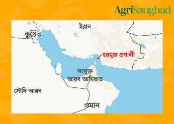 হরমুজ প্রণালী সংকট, আমদানি নির্ভরতা ফের ঝুঁকিতে