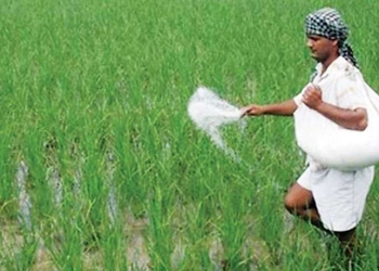 চোখ রাঙাচ্ছে সারের মজুত