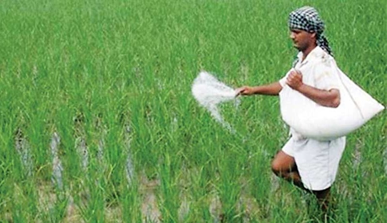 চোখ রাঙাচ্ছে সারের মজুত