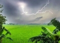 বজ্রপাতে তিন জেলায় ঝরল আট প্রাণ