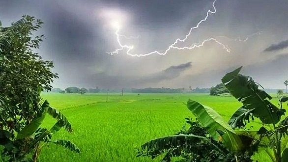 বজ্রপাতে তিন জেলায় ঝরল আট প্রাণ