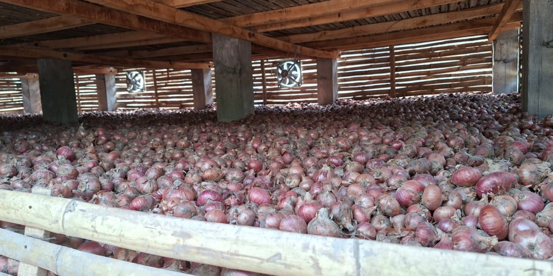 পেঁয়াজে স্বয়ংসম্পূর্ণতার পথে বাংলাদেশ