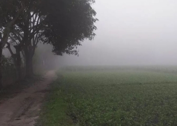 চৈত্রেও ঘন কুয়াশা-শিশির বিস্মিত পঞ্চগড়বাসী!