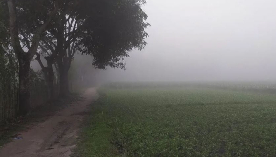 চৈত্রেও ঘন কুয়াশা-শিশির বিস্মিত পঞ্চগড়বাসী!