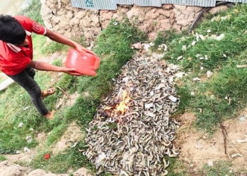 চিংড়িতে জেলি দেওয়ায় ব্যবসায়ীকে জরিমানা