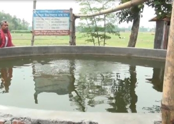 দিনাজপুরে ট্যাংকির মধ্যে মাছ চাষে সফলতা