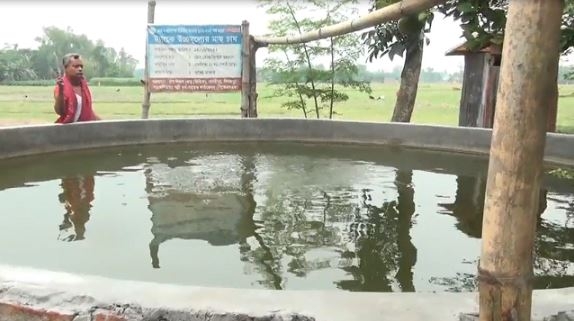 দিনাজপুরে ট্যাংকির মধ্যে মাছ চাষে সফলতা
