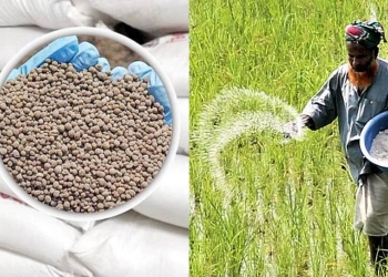 সার ডিলারদের জন্য সুখবর
