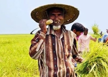 কৃষকের অ্যাপে ধান বিক্রি, সুবিধা জানে না বহু কৃষক