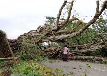 নওগাঁয় ঝড়ে ব্যাপক ক্ষয়ক্ষতি