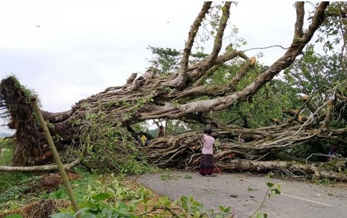 নওগাঁয় ঝড়ে ব্যাপক ক্ষয়ক্ষতি