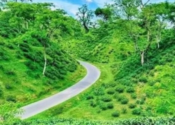 ঈদের ছুটিতে পর্যটকদের স্বাগত জানাতে প্রস্তুত শ্রীমঙ্গল