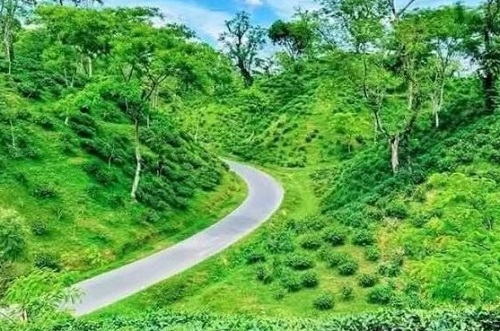 ঈদের ছুটিতে পর্যটকদের স্বাগত জানাতে প্রস্তুত শ্রীমঙ্গল