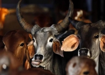 পশু জবাইয়ে কড়াকড়ি পশ্চিমবঙ্গ সরকারের