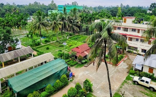 কৃষি বৈচিত্র্য রক্ষায় ধনবাড়ীর জীবন্ত জার্মপ্লাজম ভান্ডার