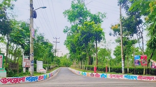 পর্যটকদের মুগ্ধতা ছড়াচ্ছে শ্রীমঙ্গলের সড়ক