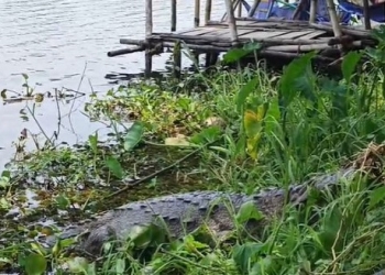 বিশ্বাস আর অলৌকিকতার গল্প: খাঞ্জেলি দিঘির কালাপাহাড় ও ধলাপাহাড়