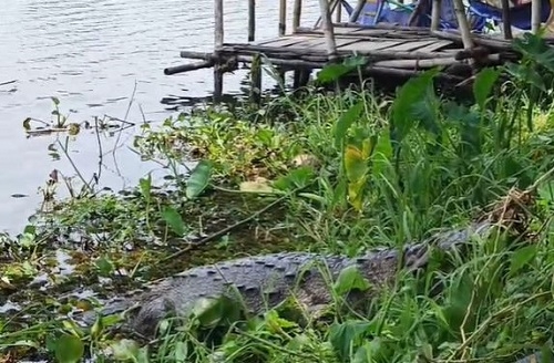 বিশ্বাস আর অলৌকিকতার গল্প: খাঞ্জেলি দিঘির কালাপাহাড় ও ধলাপাহাড়