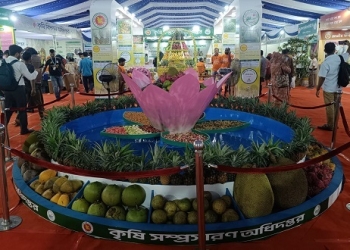 খামারবাড়িতে চলছে তিনদিন ব্যাপী জাতীয় ফল মেলা