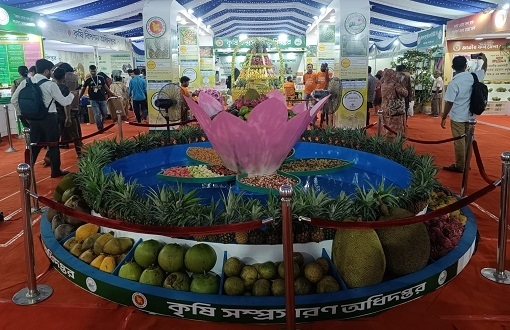 খামারবাড়িতে চলছে তিনদিন ব্যাপী জাতীয় ফল মেলা