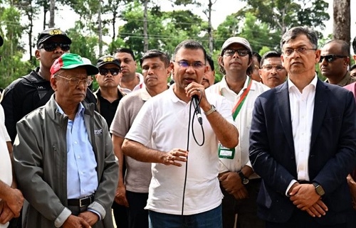 সন্তানের ভবিষ্যতের কথা ভেবে একটি করে গাছ লাগান: প্রধানমন্ত্রী