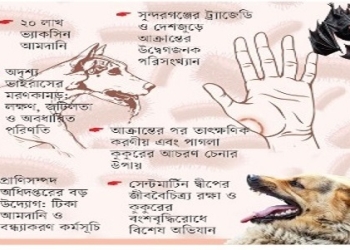 জলাতঙ্কমুক্ত দেশ গড়তে আসছে মেগা প্রকল্প