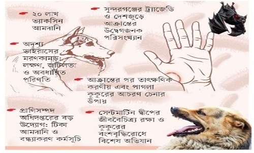 জলাতঙ্কমুক্ত দেশ গড়তে আসছে মেগা প্রকল্প