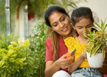 গ্রীষ্মের তাপ: বাগানের গাছকে সুরক্ষিত রাখতে যা করবেন