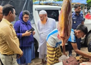 পচা গরুর মাংস বিক্রি: জরিমানা ৫০ হাজার