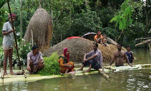 বন্যায় মৎস্য ও প্রাণিসম্পদের ক্ষতি ৪০০ কোটি টাকা