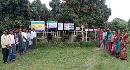উত্তম কৃষি চর্চা: নিরাপদ আম উৎপাদন, অডিট কার্যক্রম, সার্টিফিকেশন এবং টেকসই কৃষির নতুন দিগন্ত