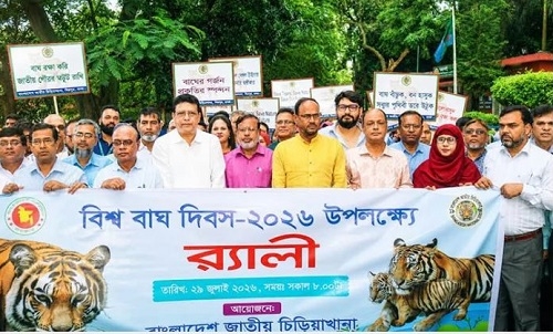 বাঘ সংরক্ষণে জনসচেতনতা বাড়াতে হবে : প্রাণিসম্পদ প্রতিমন্ত্রী