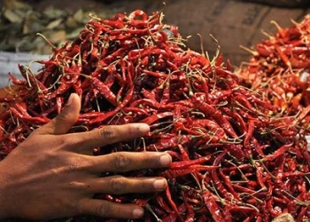 সাতক্ষীরায় দাম কমছে শুকনো মরিচের