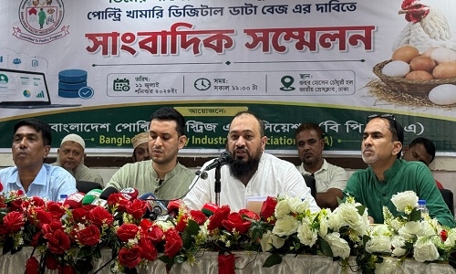 পোলট্রি খাতে মাসে ৫০০ কোটি টাকা ক্ষতি : বিপিআইএ