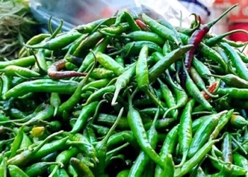 টানা বৃষ্টি-বন্যায় অস্থির সবজির বাজার